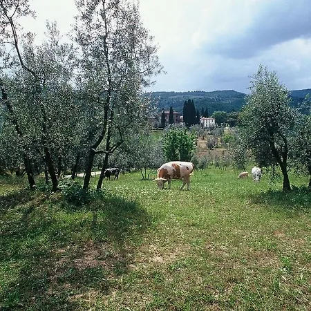 Apartment Sleeps 5 Pontassieve